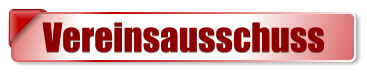 Vereinsausschuss