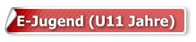 E-Jugend (U11 Jahre)