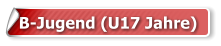 B-Jugend (U17 Jahre)